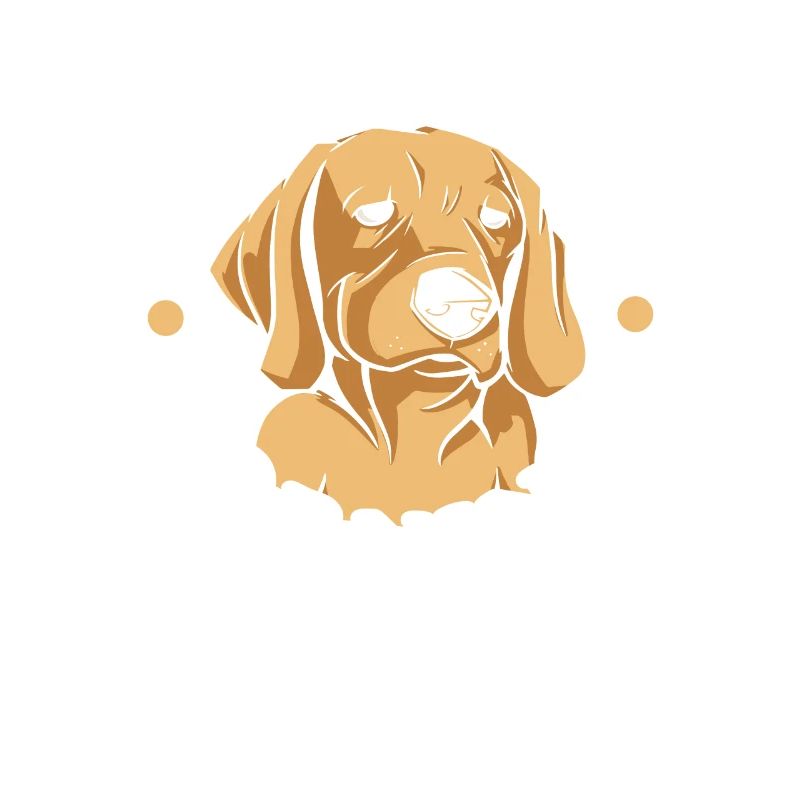 Labrador Mignon Je Ne Fais Pas De Matins