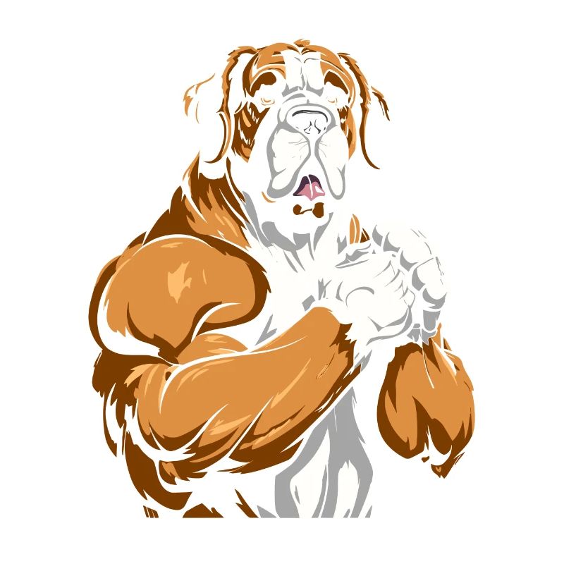 Saint Bernard Cool
