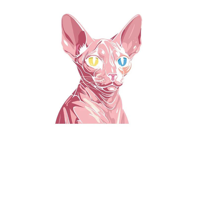 Chat Sphynx