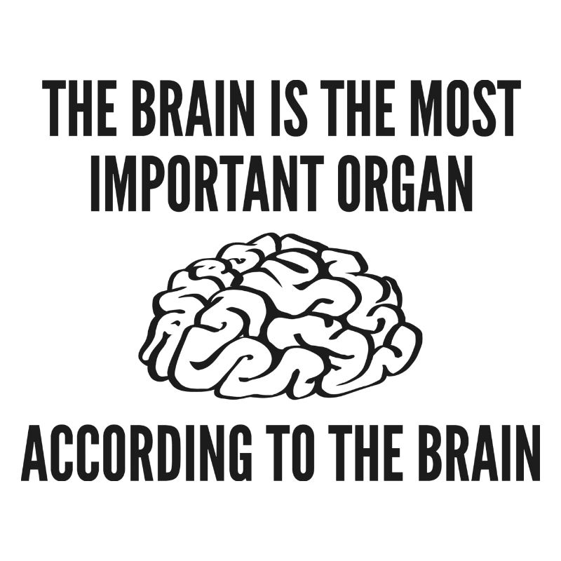 Le cerveau est l’organe le plus important