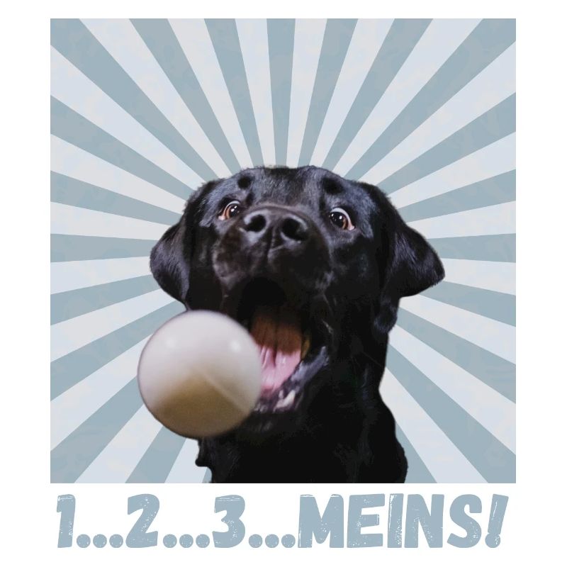 1...2...3...LE MIEN !