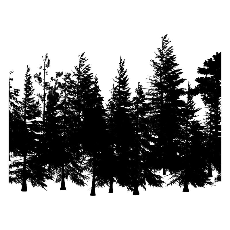 Contour de la forêt