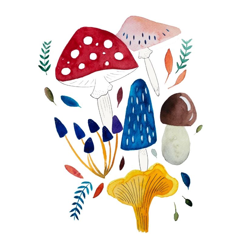 Mushroom design toadstool boletus chanterelle