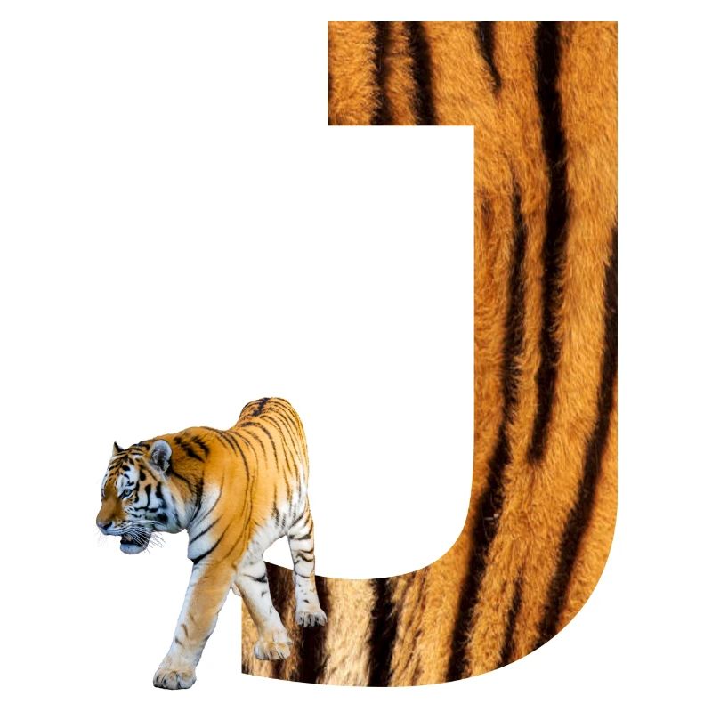 tiger j