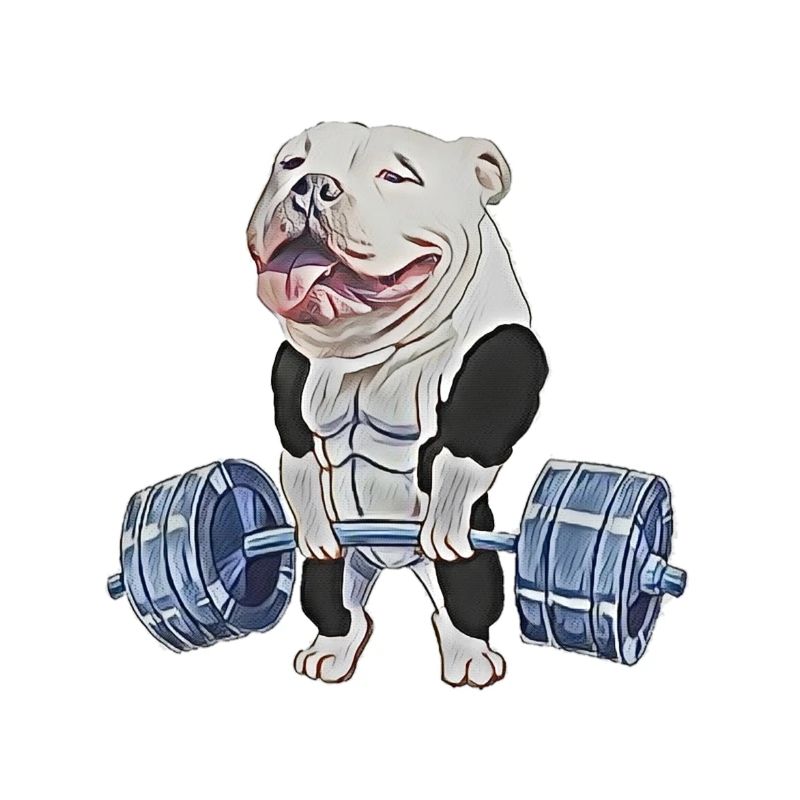 Muscle Bully