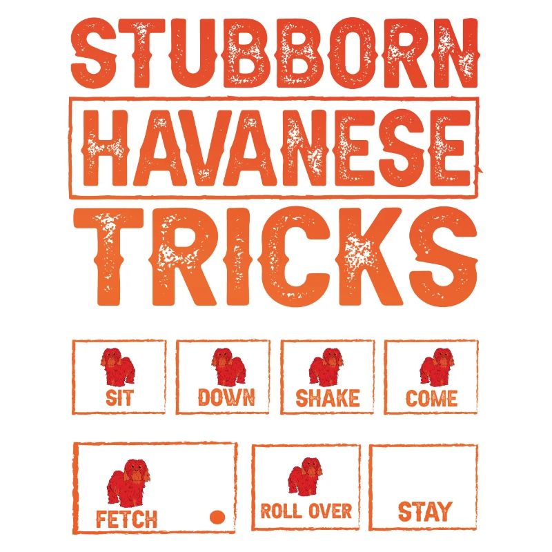 Stubborn Havanese Tricks