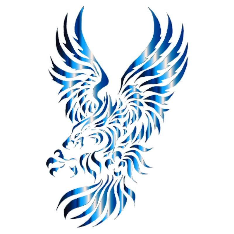 eagle eagle buzzard falcon habicht hawk falcon14