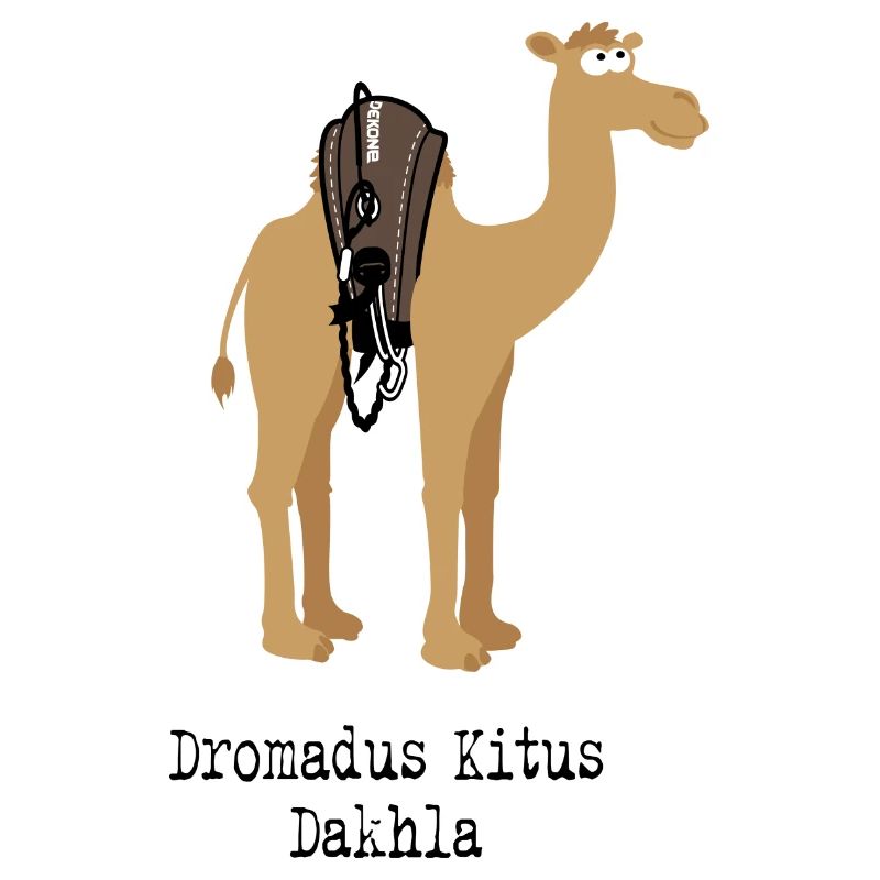Dromadus Kitus Dakhla