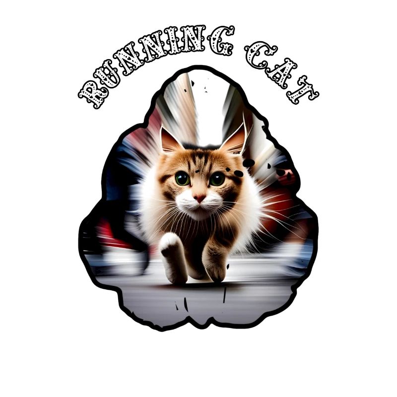 Chat en cours d’exécution 9