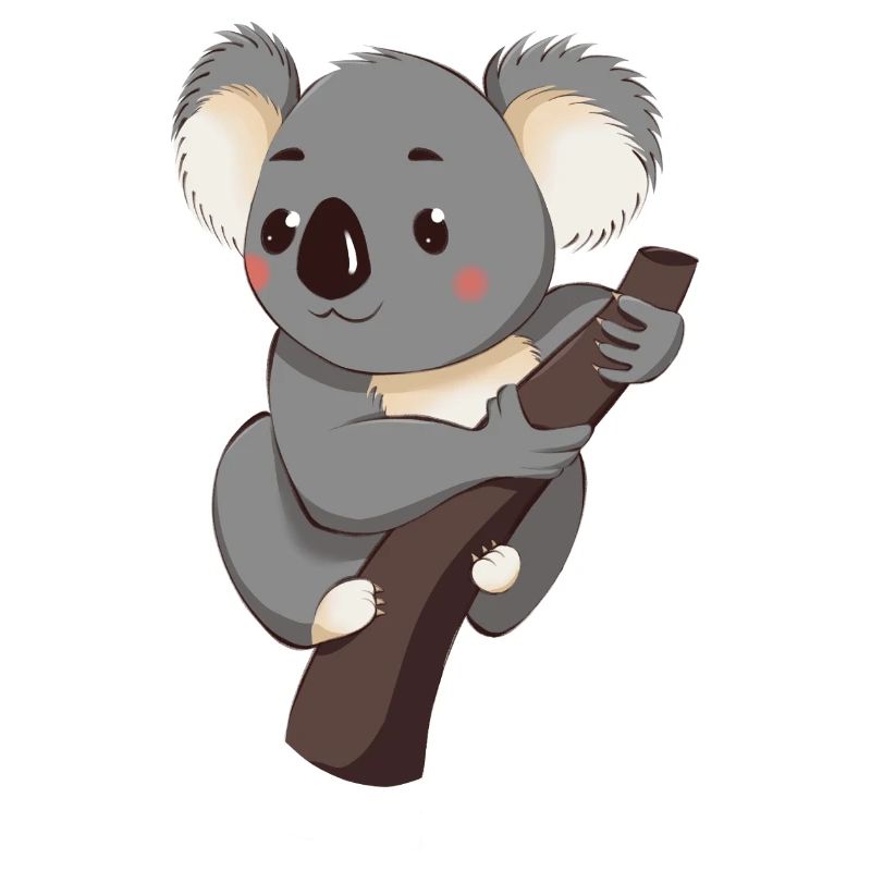 Koala