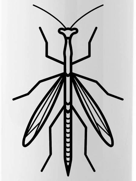 Stick-Insekt