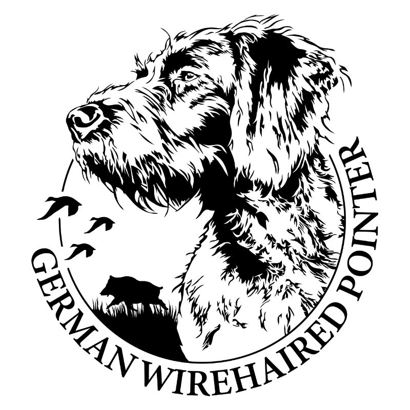 GERMAN WIREHAIRED POINTER Wilsigns Jagdhunde Hund