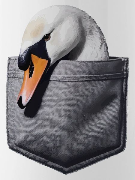 Schwan