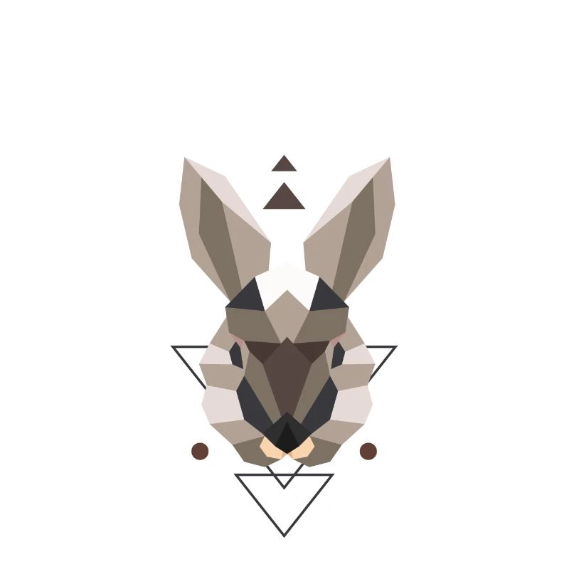 Lapin de type polygone lapin