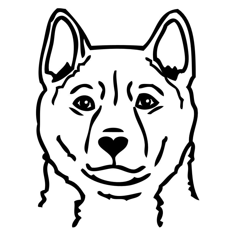 shibainukop_001