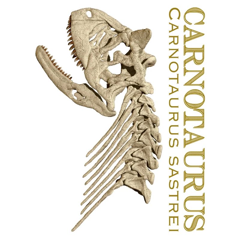 Carnotaurus skull bone