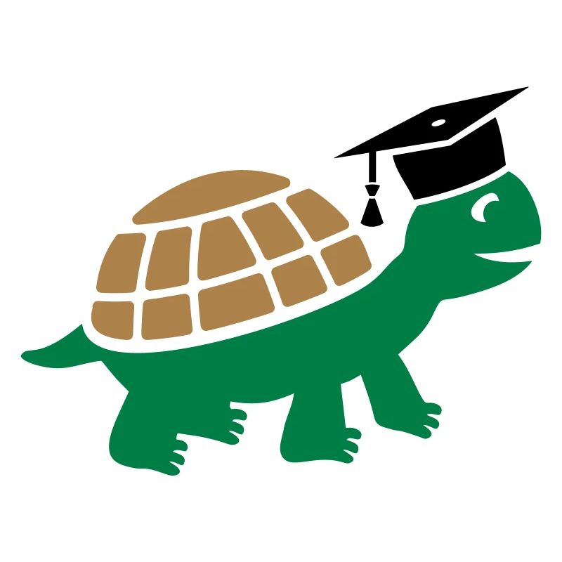 Turtle with doctoral hat Doctoral thesis Study