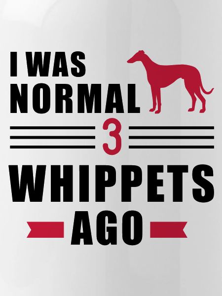 Whippet
