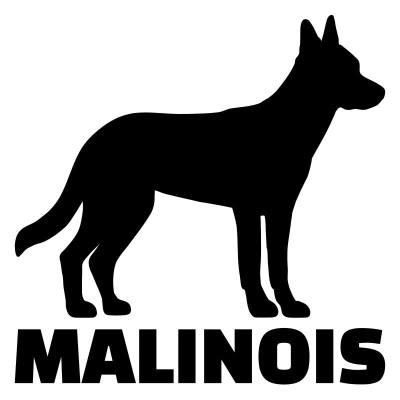 malinois