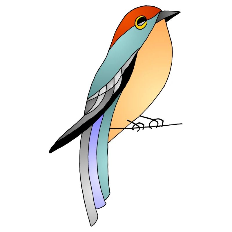 Oiseau