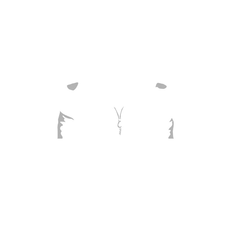 Programmer Coder Software Developer