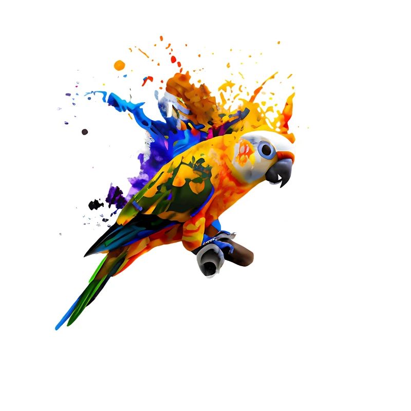 Perroquet - Explosion de couleur