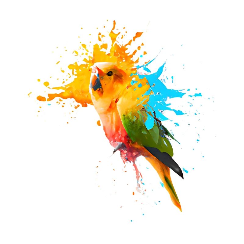 Perroquet - Explosion de couleur