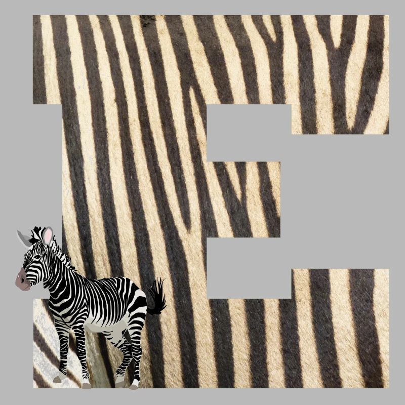 zèbre e