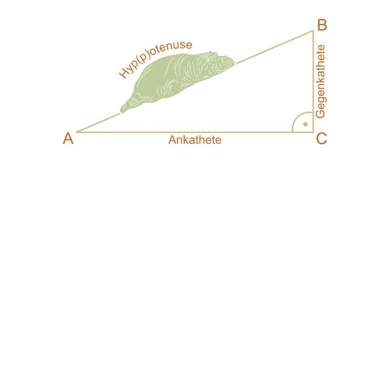 Hypotenuse Hippotenuse for Math Hippo