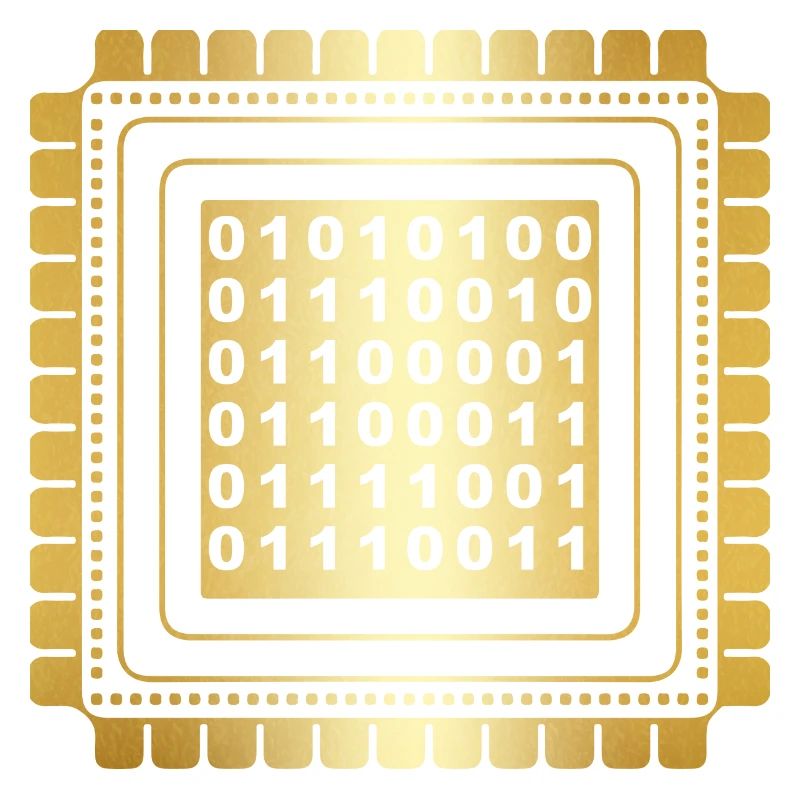 Programmeur Coder Développeur de logiciels