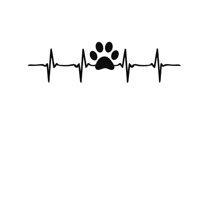 Chien et chat ensemble