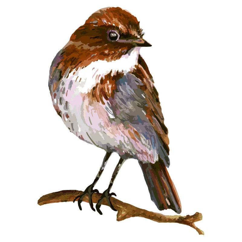Vogel