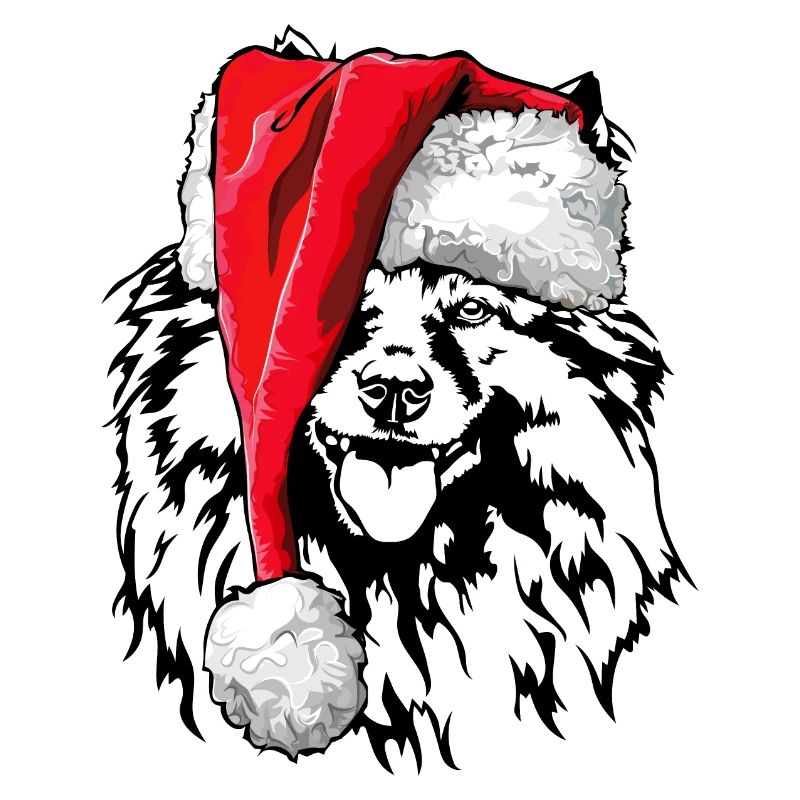 Père Noël Wolfsspitz Nikolaus Wilsigns