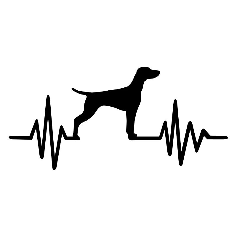 Vizsla