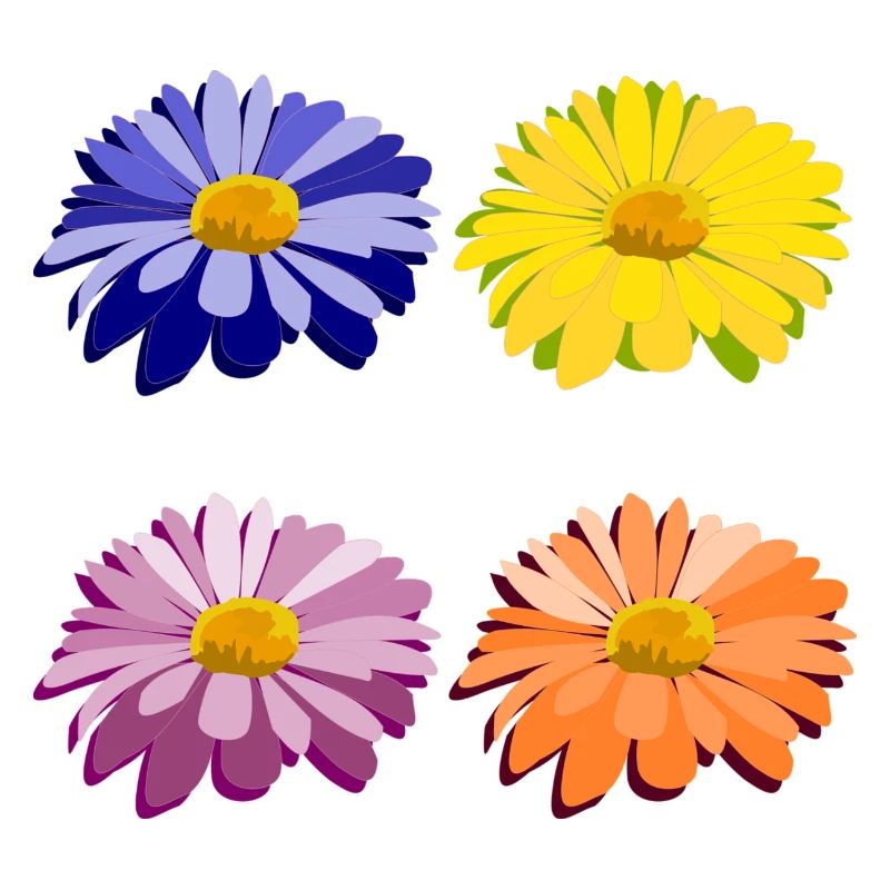 fleurs
