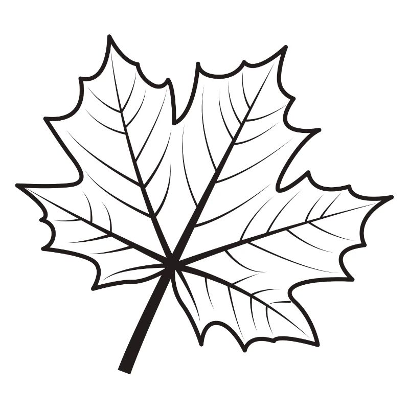 Maple Leaf Gift Nature Wals arbre arbres automne