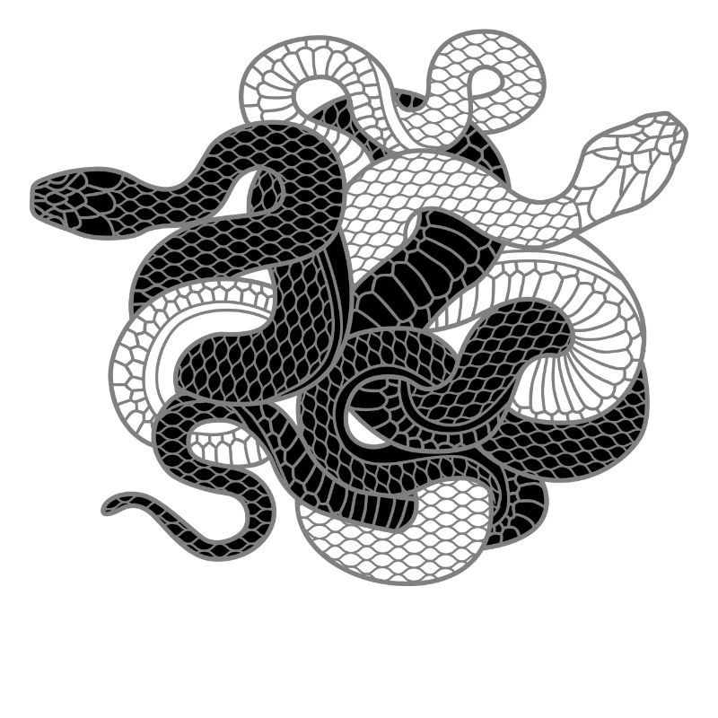 Schlangen Geschenk für Yin Yang Python Kobra Fans