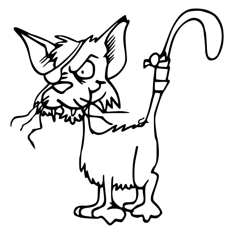 Katze