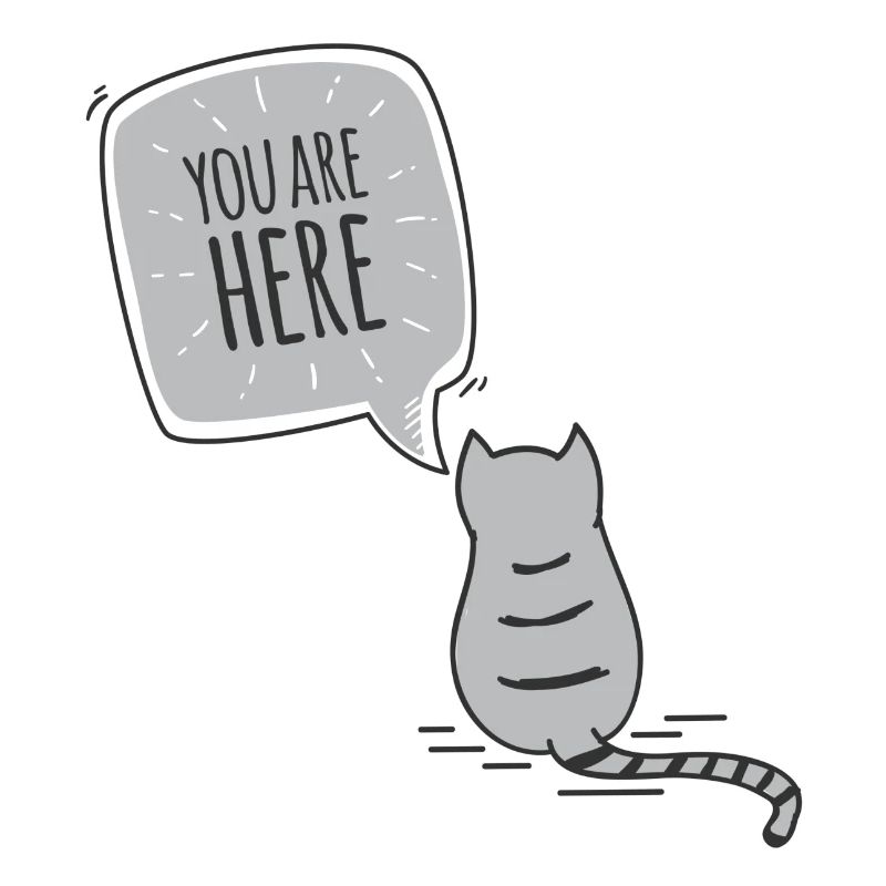 Chat