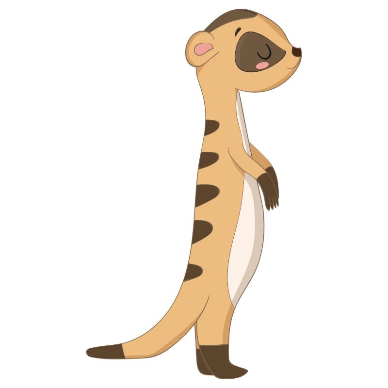 Erdmännchen Manguste