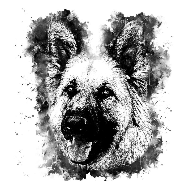 German Shepherd v2wsbw