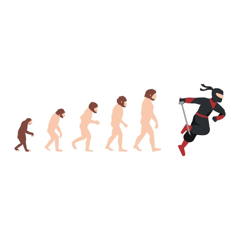 Human Evolution Ninja Fan Funny Gift Idea