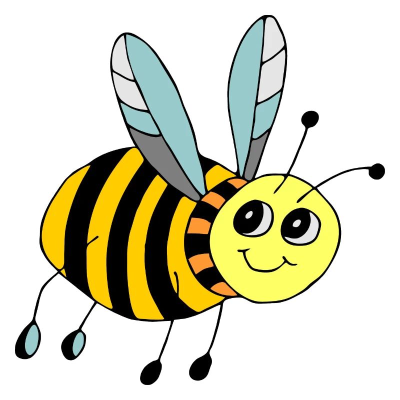 Insecte