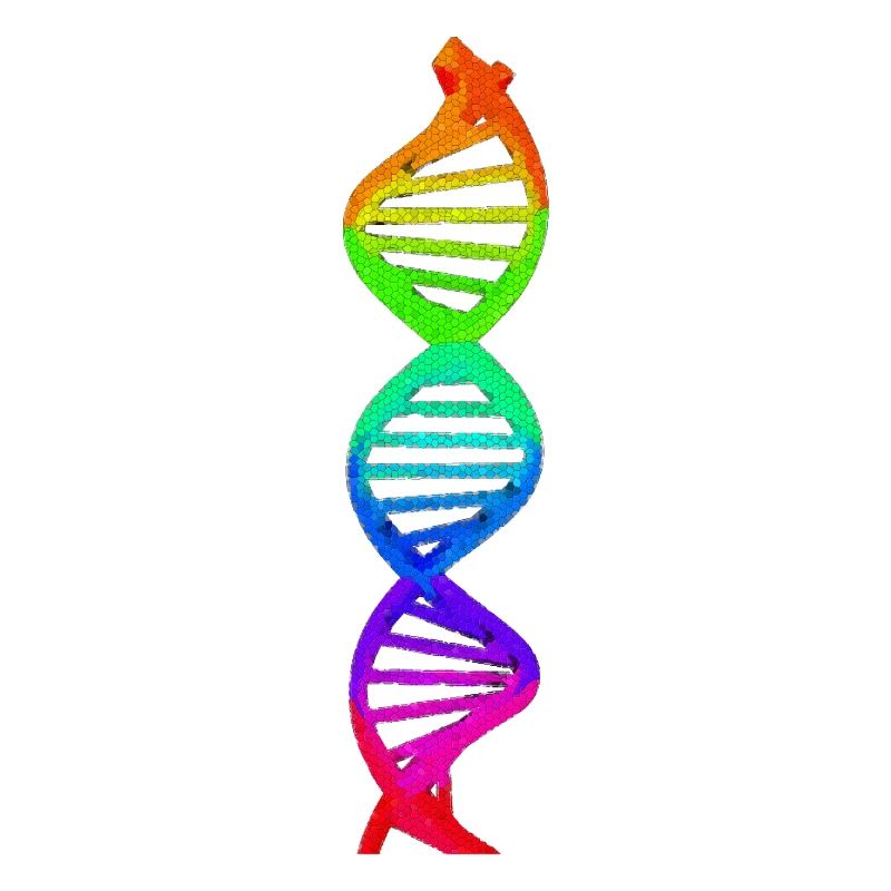 ADN