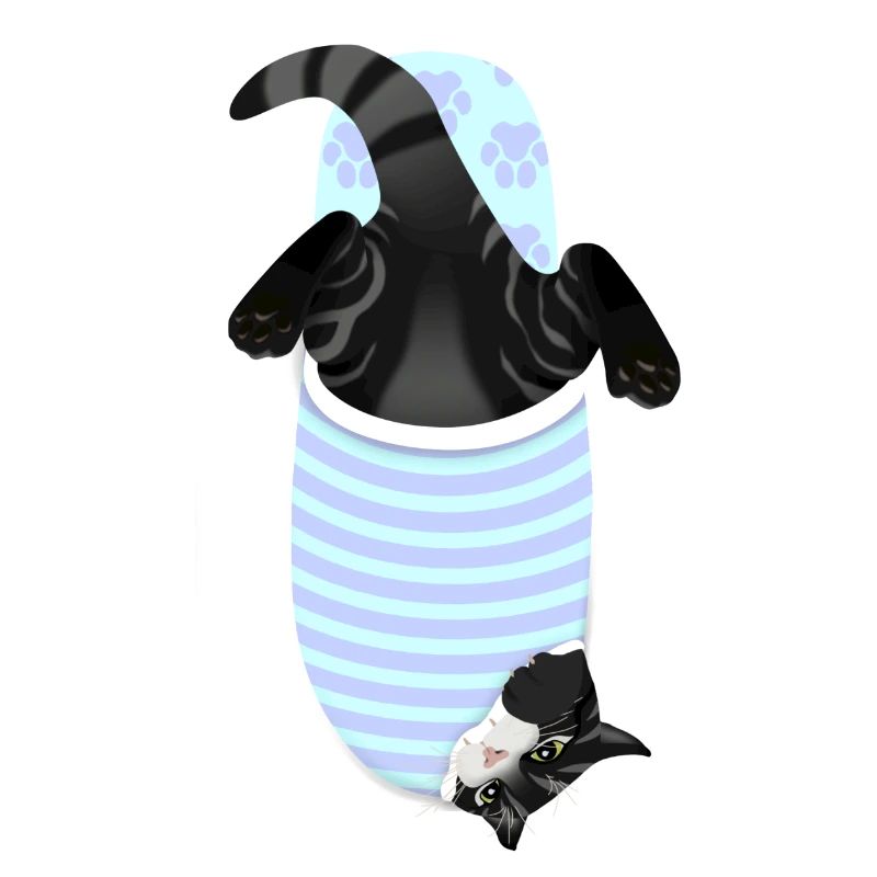 Chaton Noir
