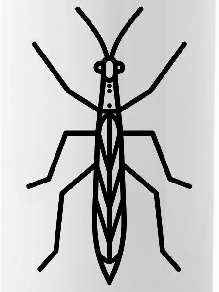 Stick-Insekt