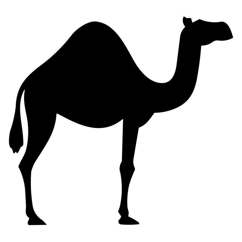 Kamel