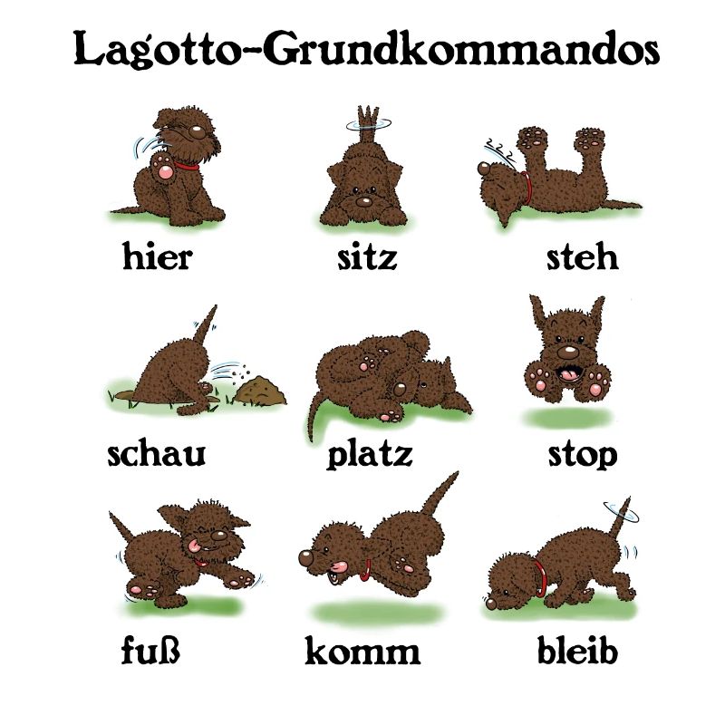 Kommandos2 3