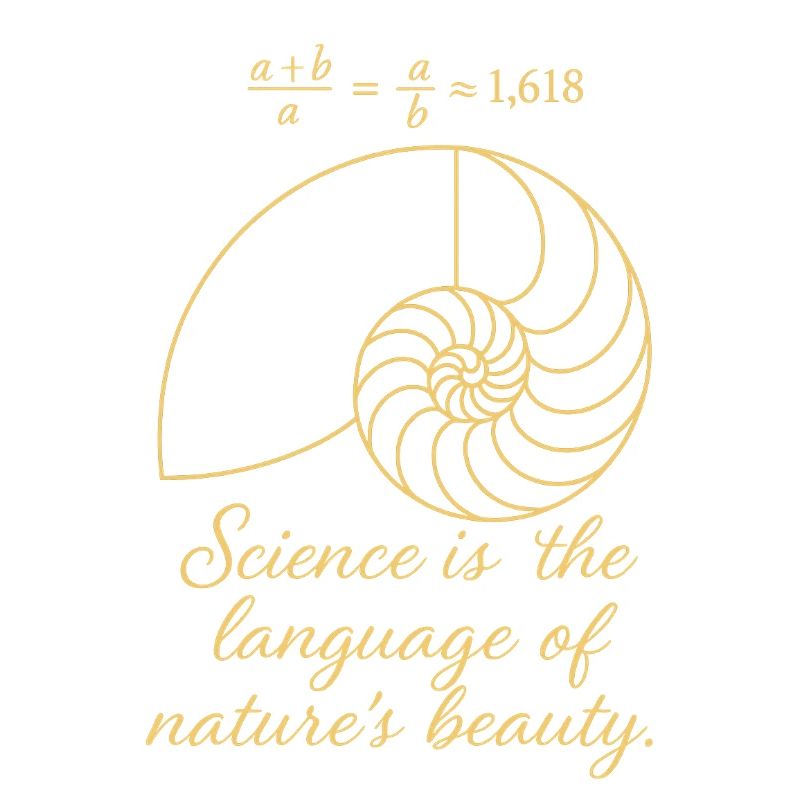 Coque de Fibonacci
