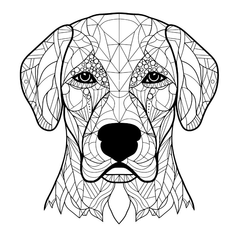 Essence de Labrador Retriever : dessin au trait complexe